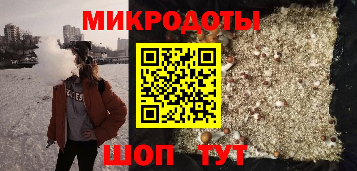 Псилоцибиновые грибы Psilocybe Троицк