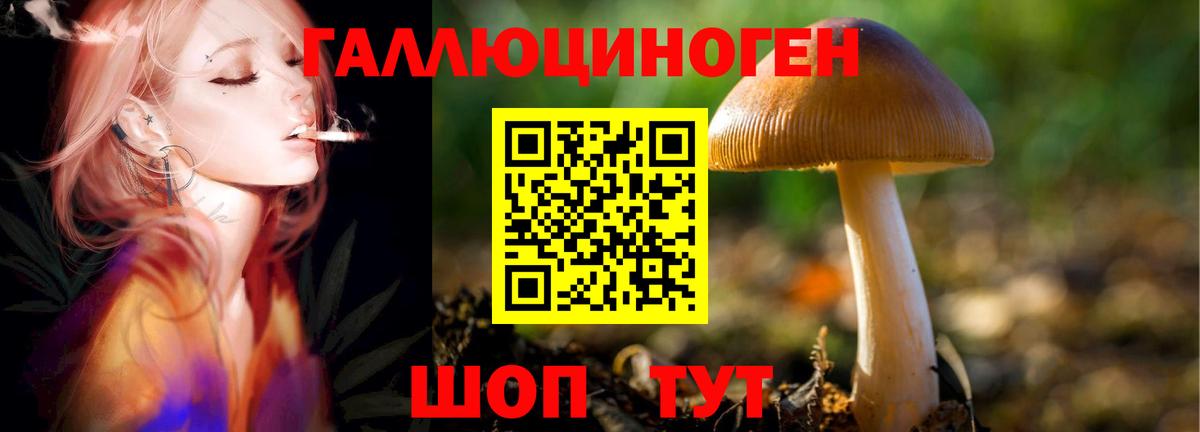 Галлюциногенные грибы Psilocybe  Вход с VPN  Троицк 